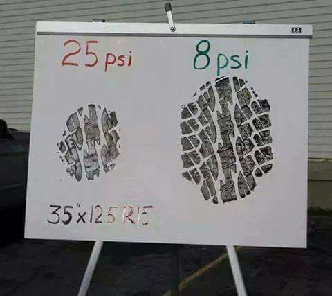 16729137_1834129276867735_8486642899120029614_n.jpg