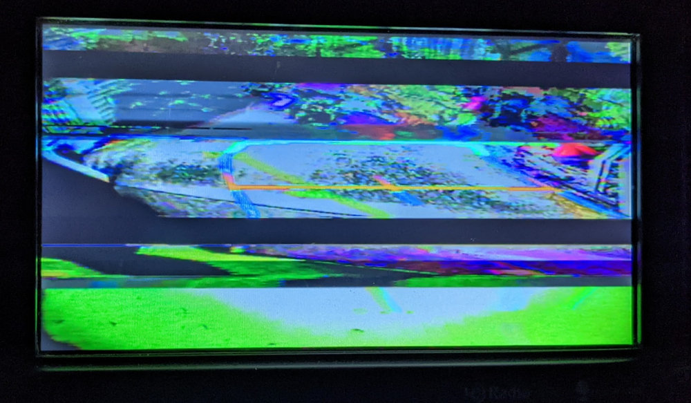 167827575_5547668711910219_5942897900485510721_n.jpg