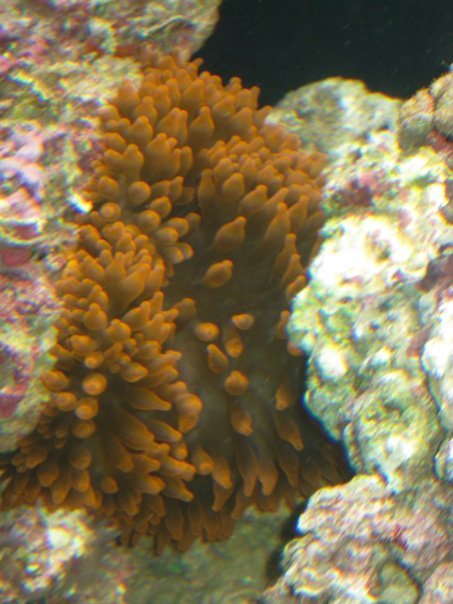 167_511339404773_2534_n_zps9f159737_e50777ff7b6607b91a9fa27c2cb7685ce09f1c8e.jpg