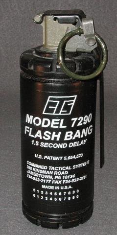 1696475-7290_flash_bang.jpg