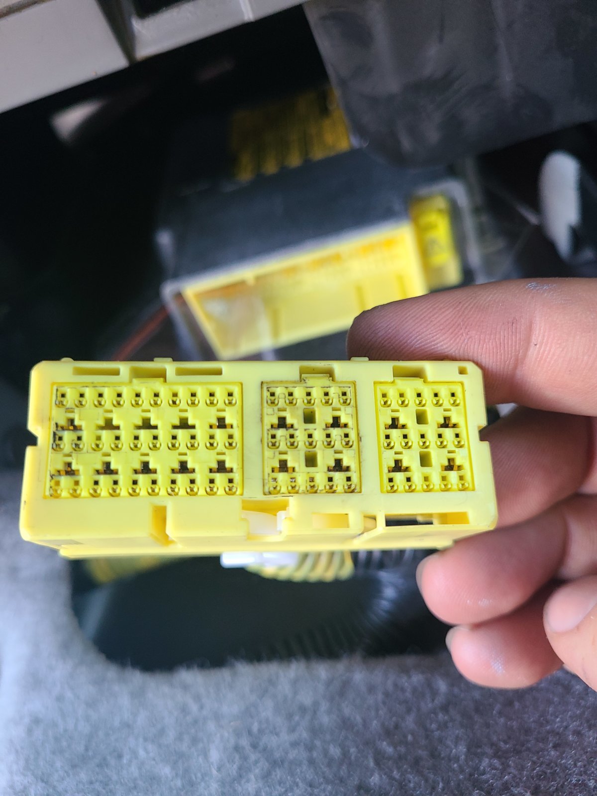 16979219275118195531003045541556.jpg
