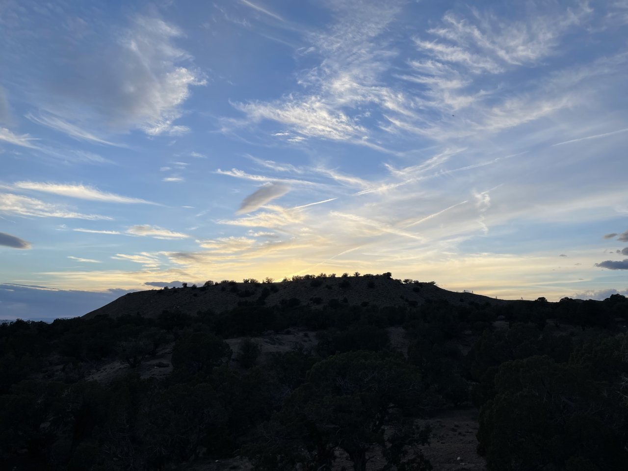 16AF43C3-1E43-4AD9-908C-F460A0F65CD0.jpg