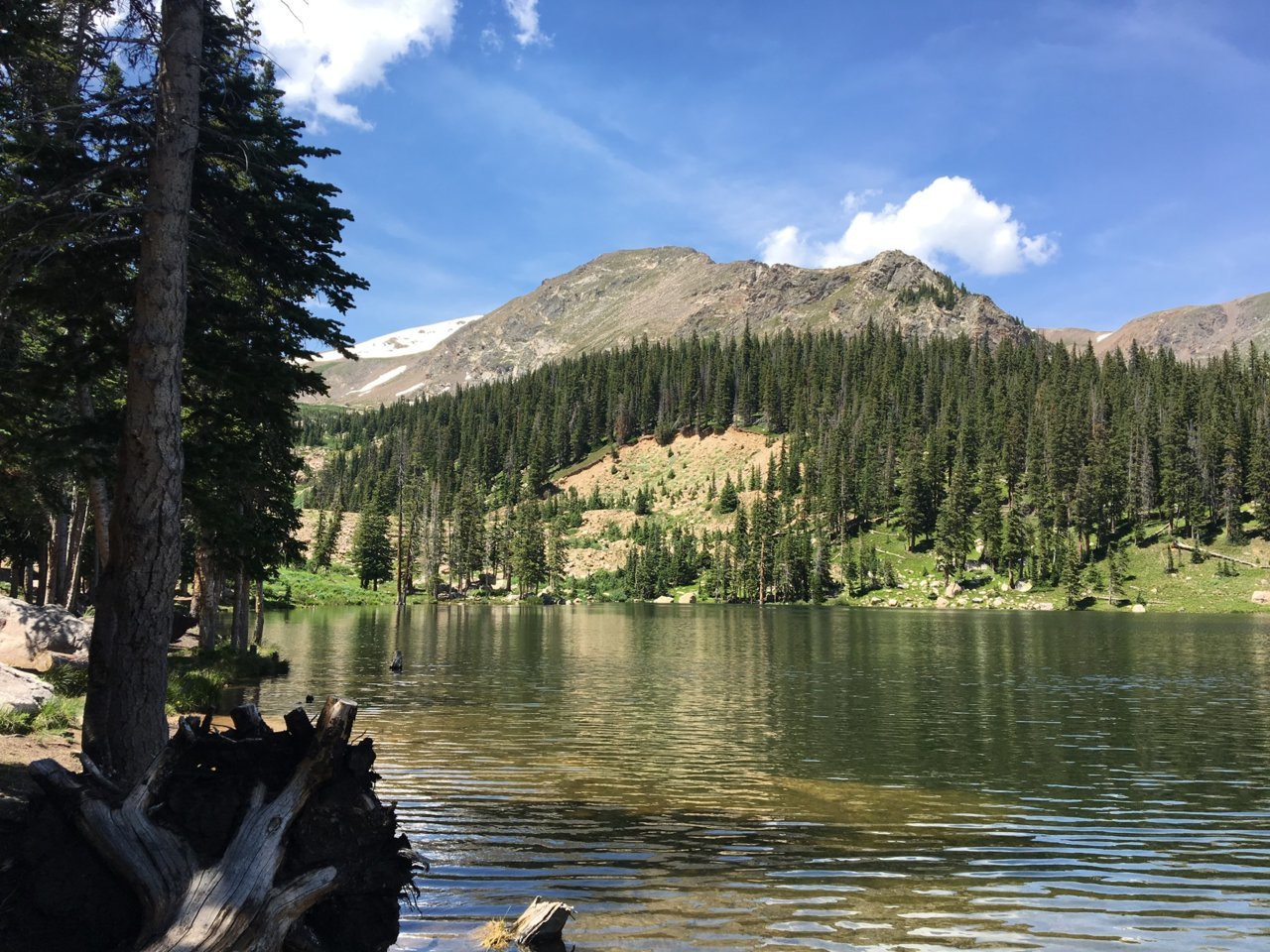 16B2A826-3D0E-4F95-B5BC-8C3E681C567A.jpg