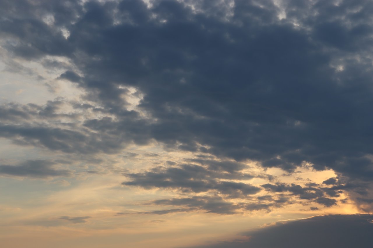 16C2C179-55F8-4869-AC65-452553229531.jpg