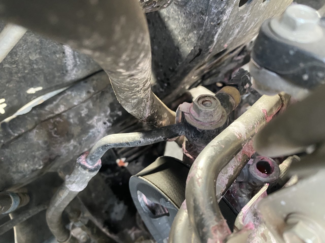 16DAF918-1A6C-470F-9AA9-C69B85E21A2E.jpg