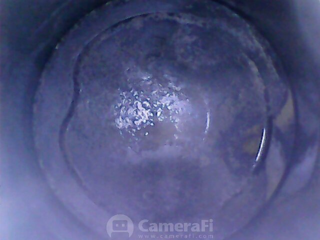 171123_085428.jpg