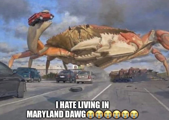 1720352079931629.jpg