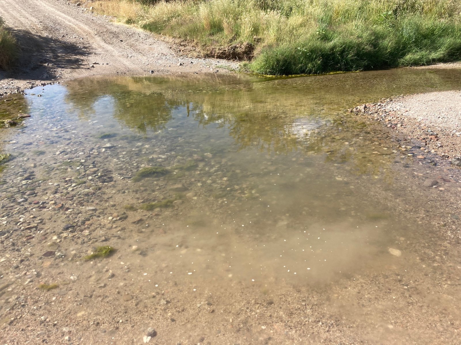 172Crossing.jpg