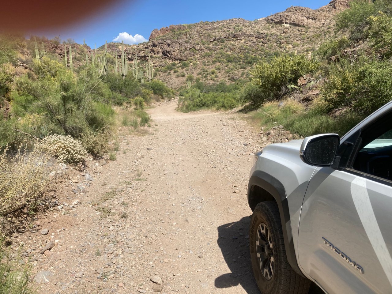 172SingleTrack.jpg