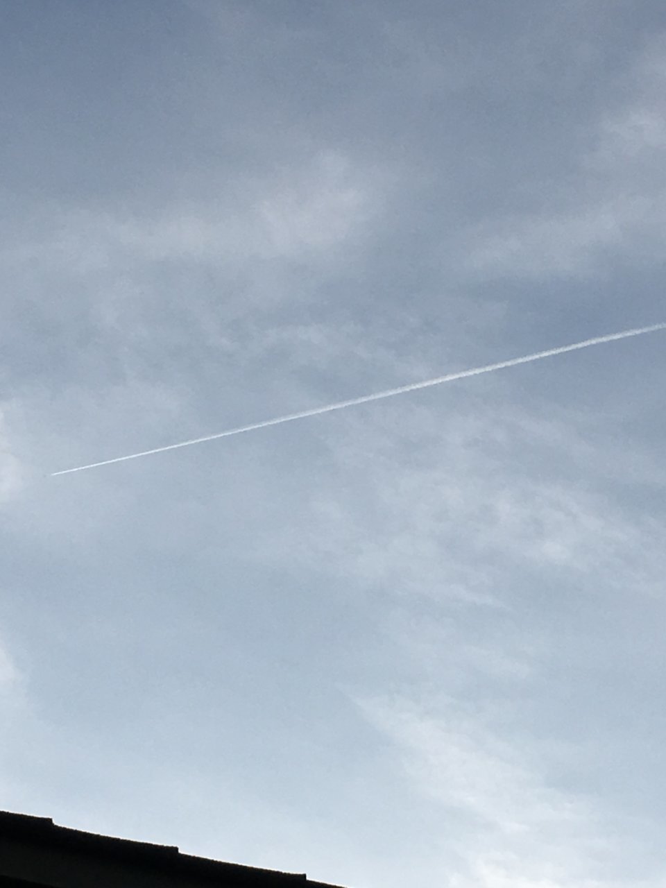 1732518E-47C8-4B6F-A3D1-C964795C484A.jpg