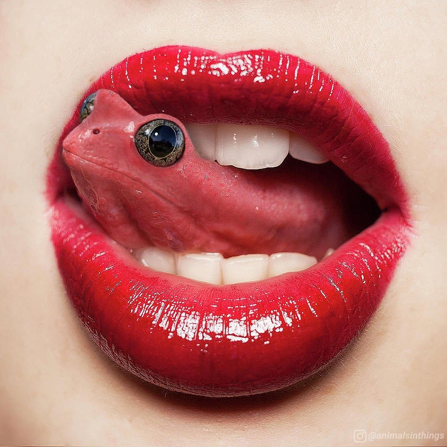 17362F7A-9BAA-4C0F-97FF-4FA24FDE01F6.jpg