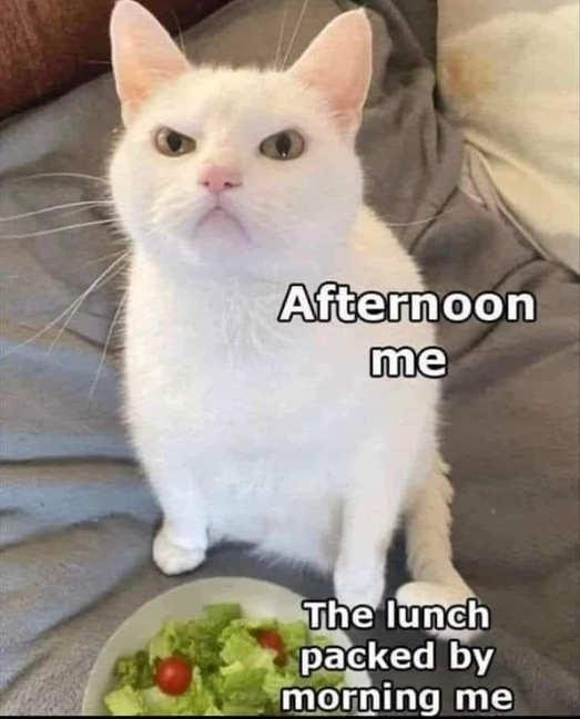 1736540924095.png