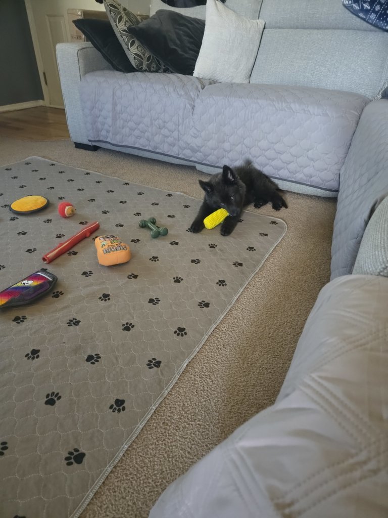 17499391828531593646872633730166.jpg