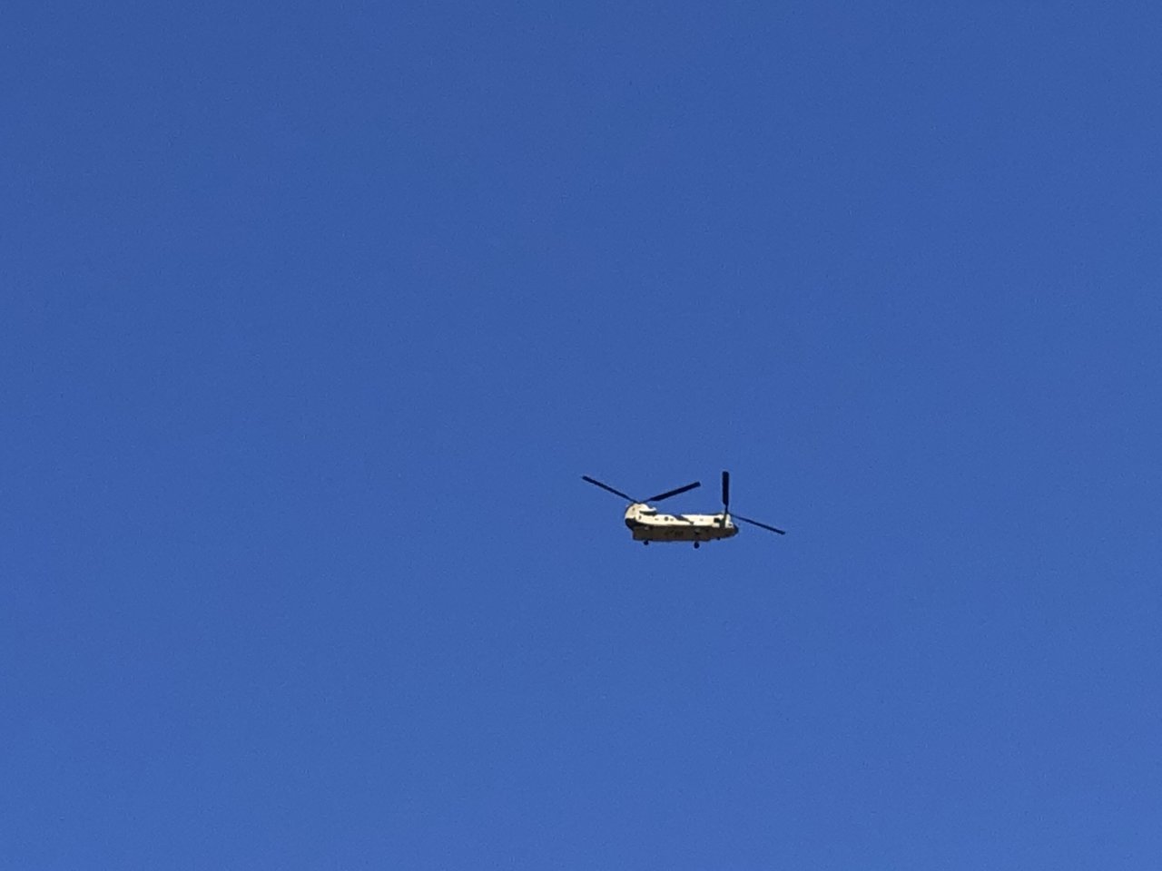 174FF9E8-D9DD-4265-BD0D-3C3414654381.jpg