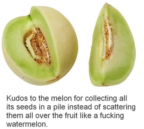 1750954699028.jpg