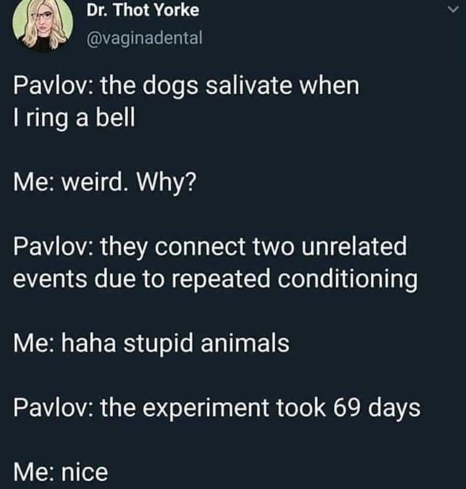175571667_4645296882157953_1181678415378183981_n.jpg