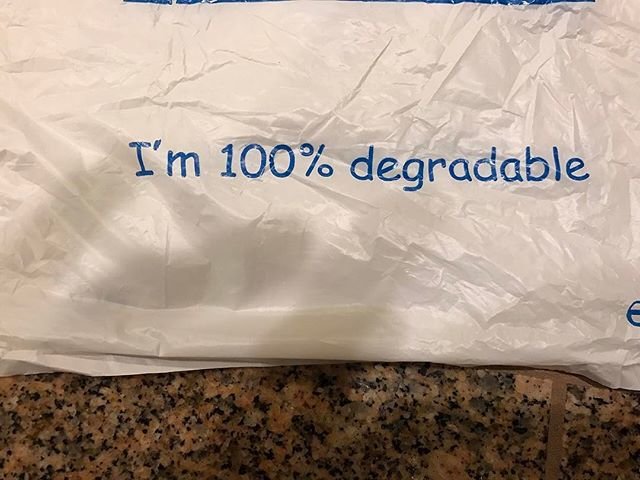 17663513_404884639875785_8052262445260996608_n.jpg