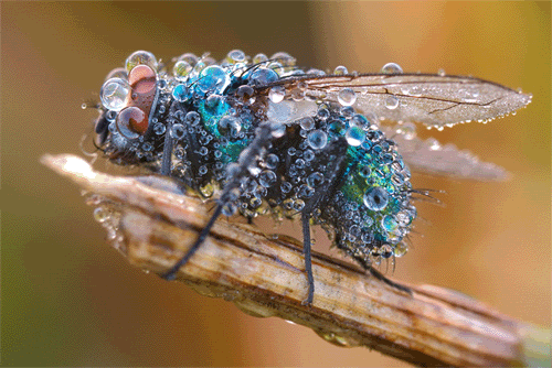17_cb24736b509716bc6f939de96e0b883eb5f7b590.gif