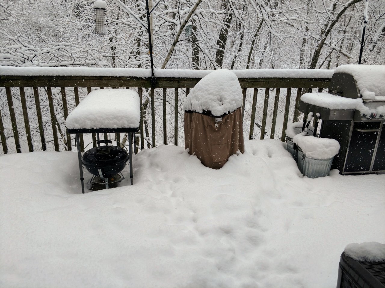 18 april snow.jpg