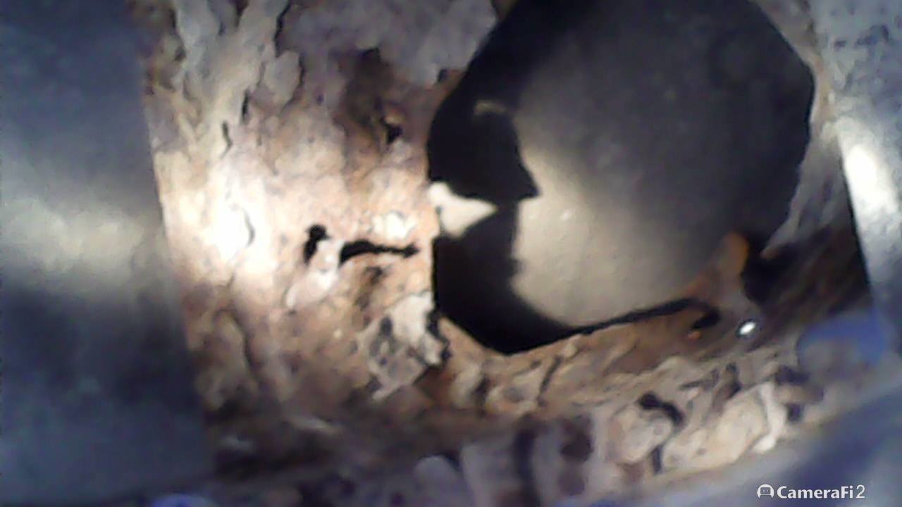 180610_081057.jpg