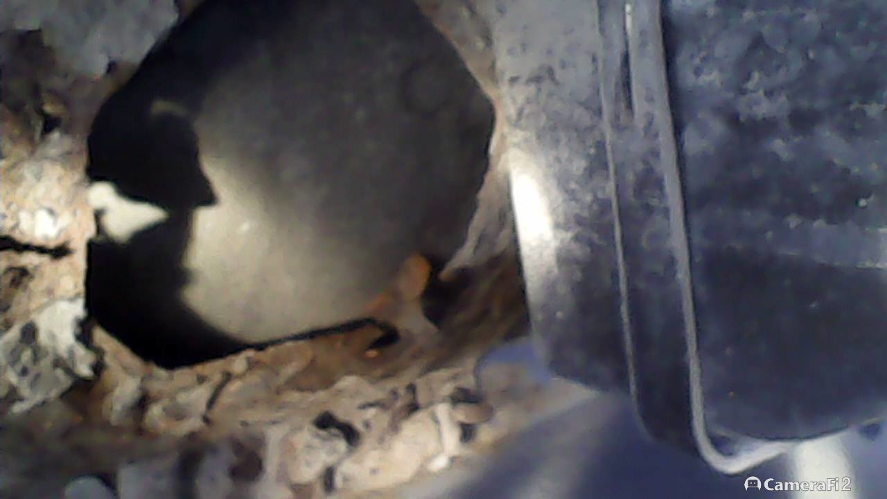 180610_081101.jpg