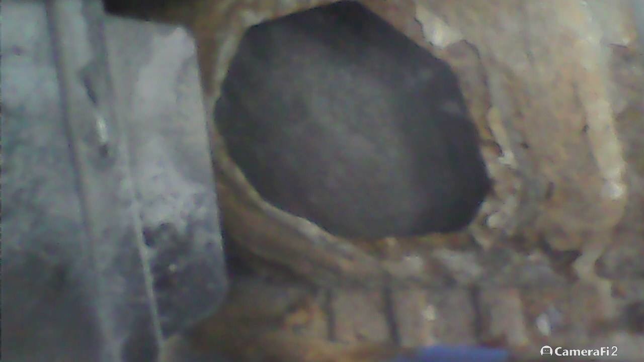180610_081525.jpg