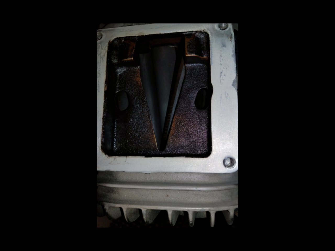 180B1095-B608-4EA8-9E75-AF43DAF080E7.jpg