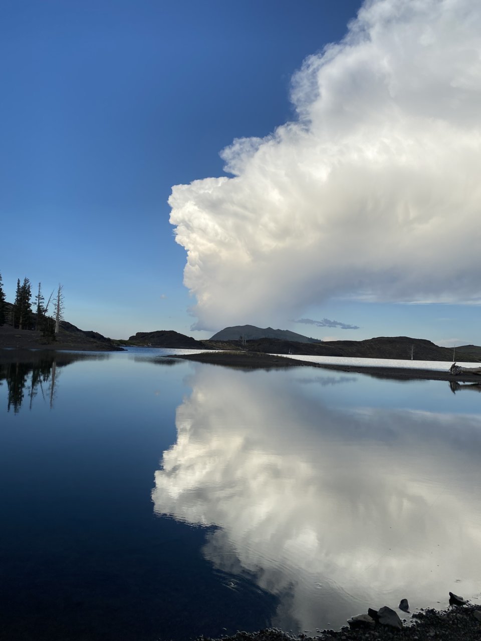 181E14D9-5DD1-4CEE-8C55-675C671D5057.jpg