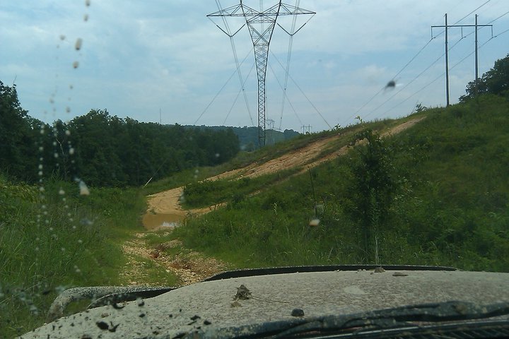 185510_1479964935984_4557500_n.jpg