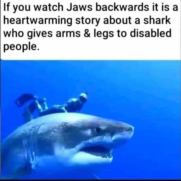 188785735_10220226816125481_2802616643051670951_n.jpg