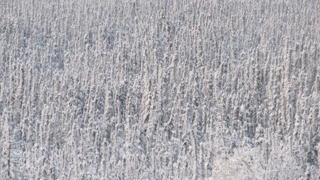 191_07e8a3061204799782158b0b6a92a9994c9814d6.jpg