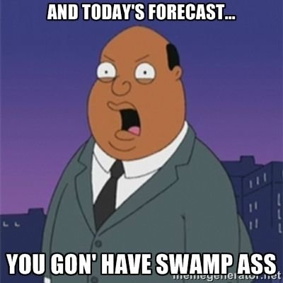 193ac65d4436cd7e12c6c3b6e53f67f4--umbrellas-family-guy.jpg