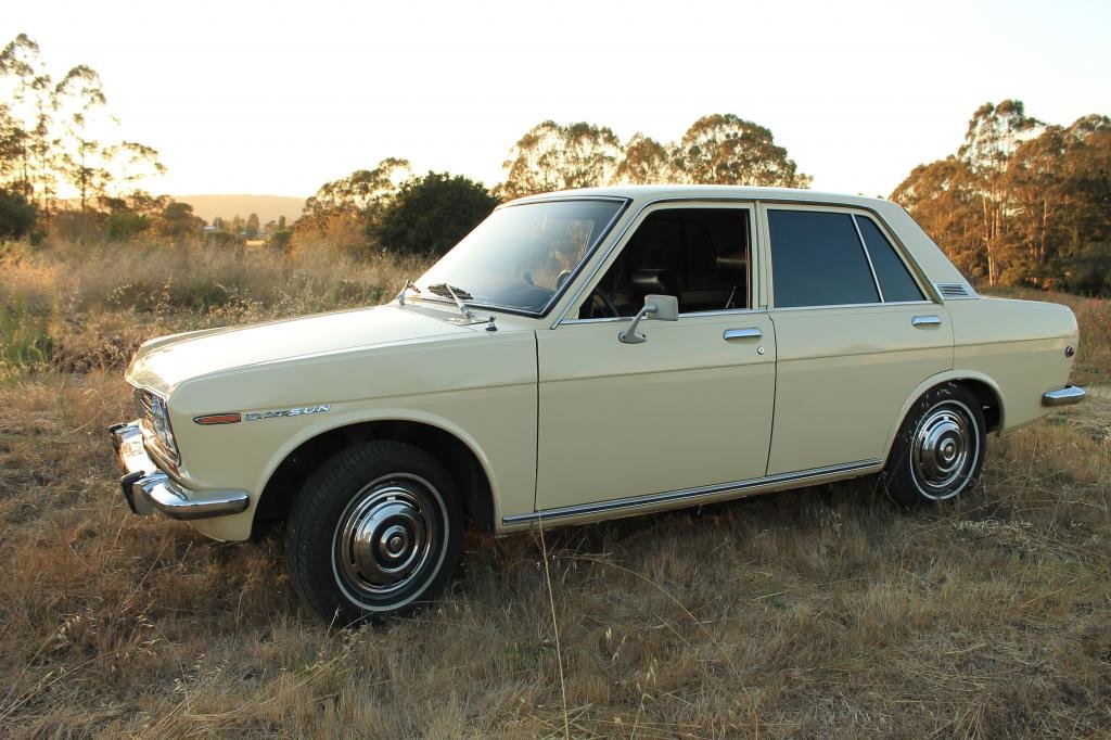 1969 in the grass.jpg