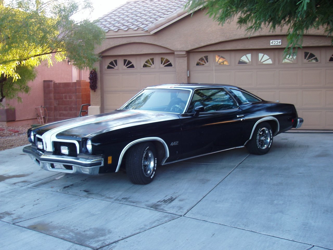 1974 442.jpg