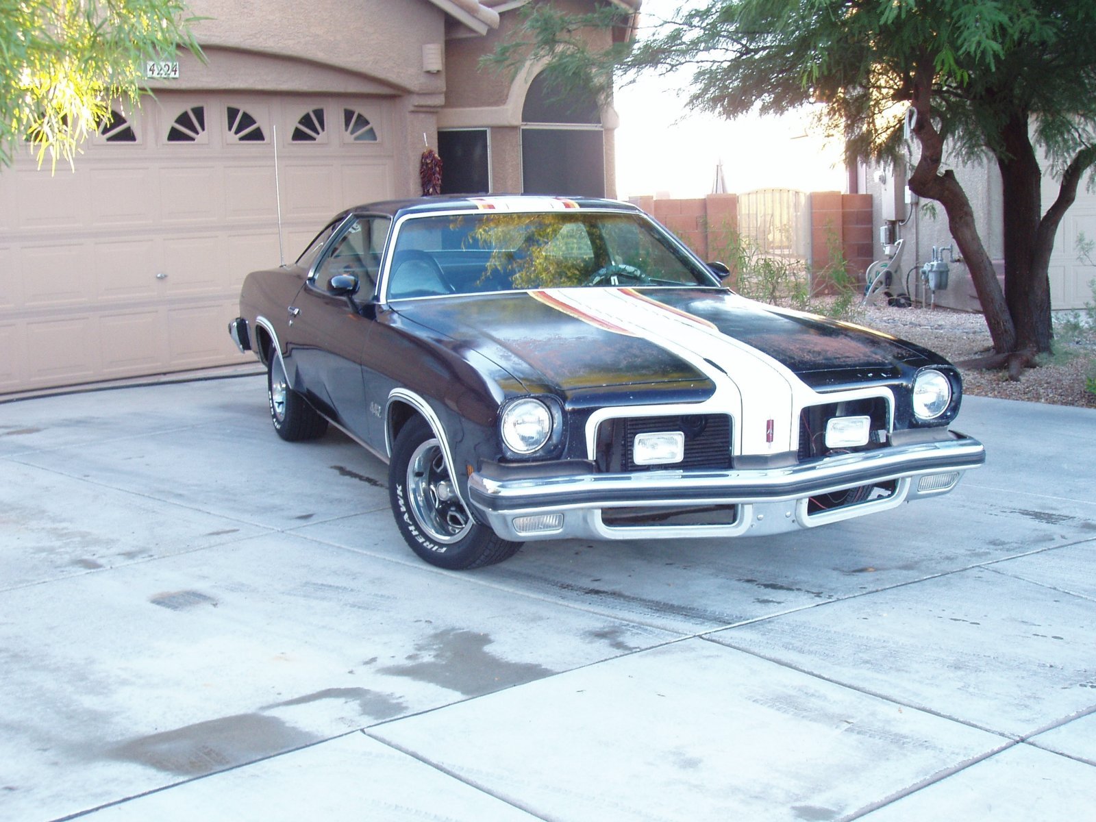 1974 442_2.jpg