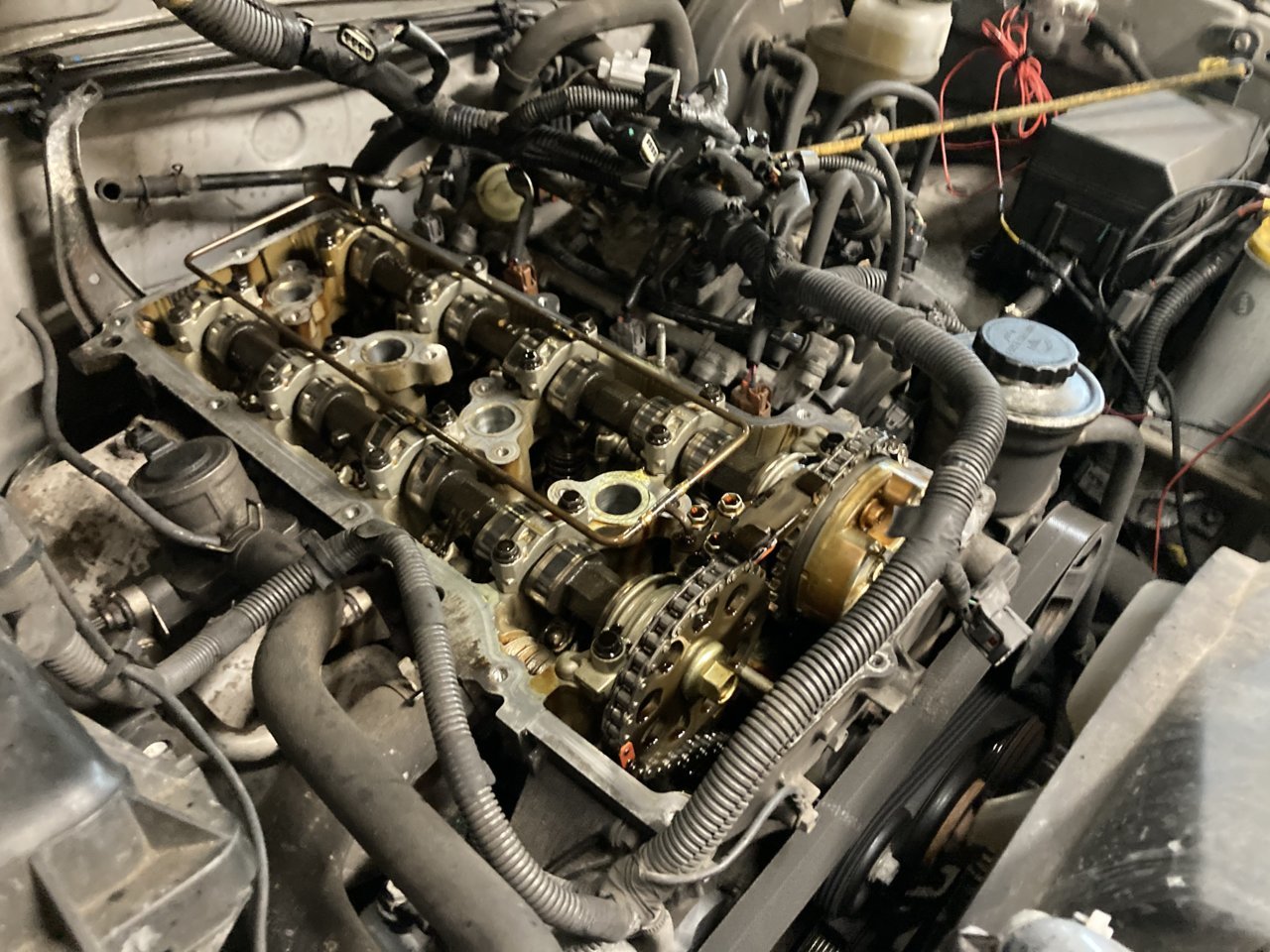 19788F04-E26D-4317-A5E6-C361AC6D0F8F.jpg