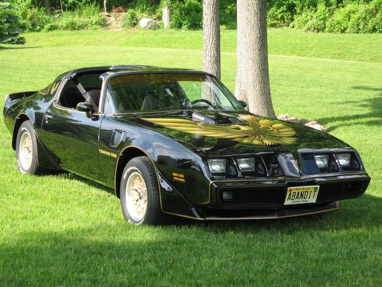 1979_pontiac_trans_am-pic-294.jpg