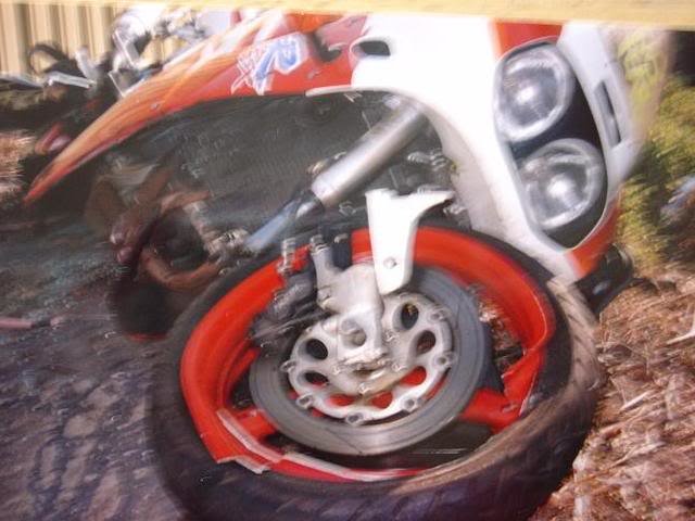 1993009_df9acfe5c999fb25d084a47f1b554cb640c38a80.jpg