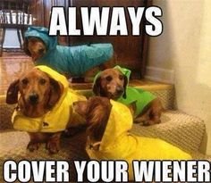 1a0b6b286b521ccd373210e44f646e21--funny-shit-funny-stuff.jpg