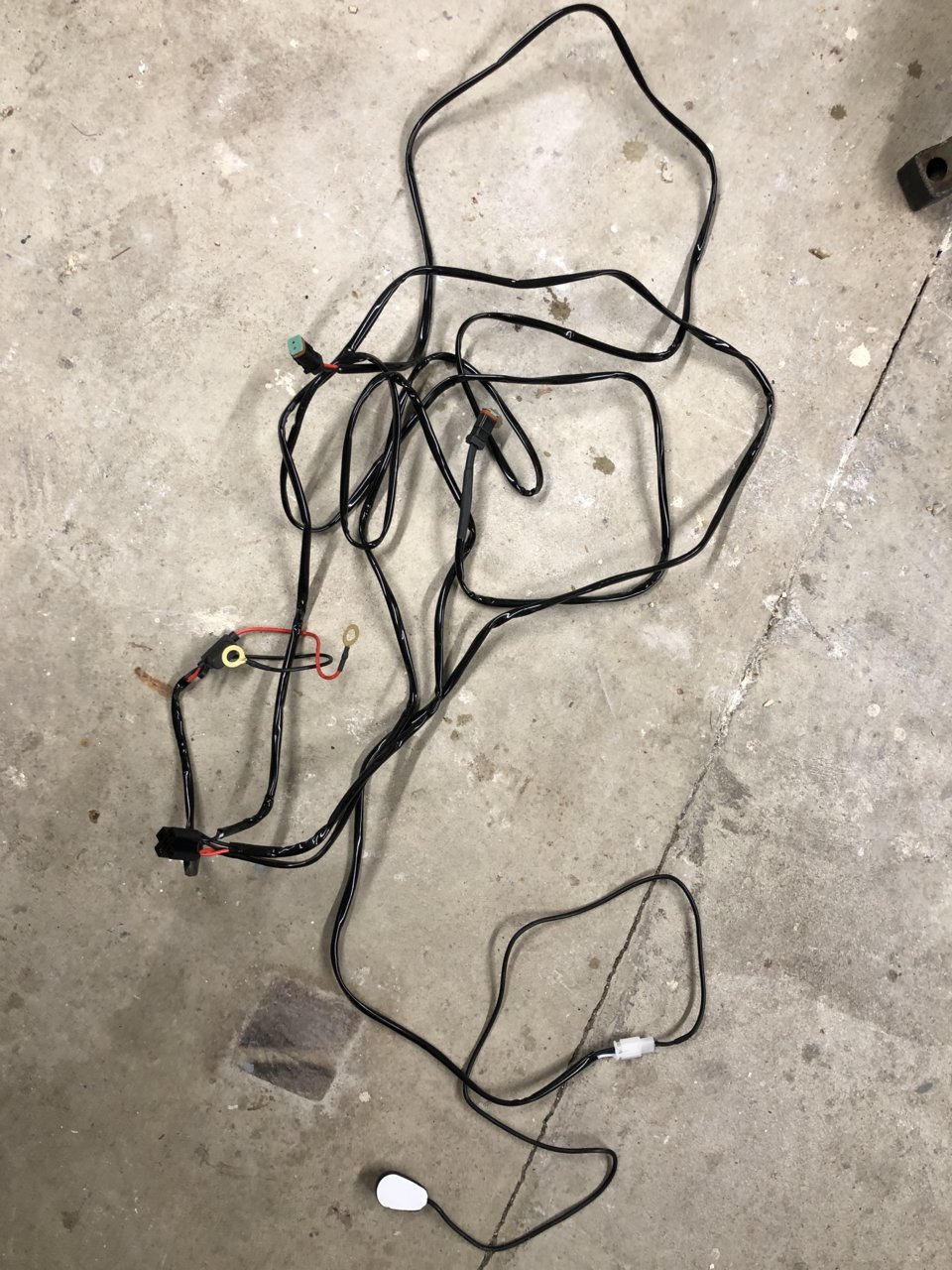 1ABD056A-2615-4903-9EEA-36443493610F.jpg