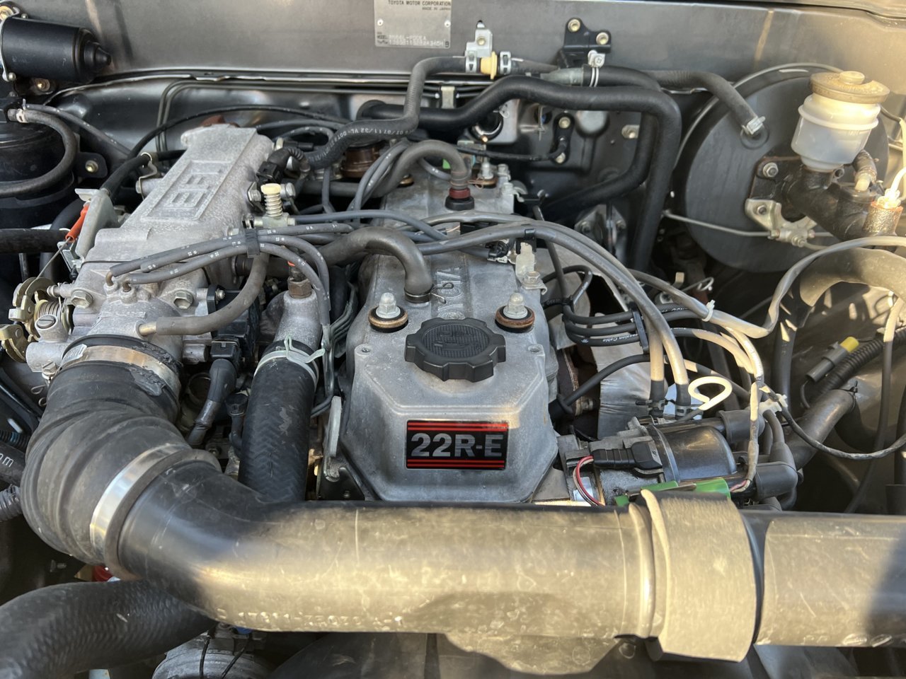 1AFD6585-439F-4E3D-98D5-70268BCA4E31.jpg
