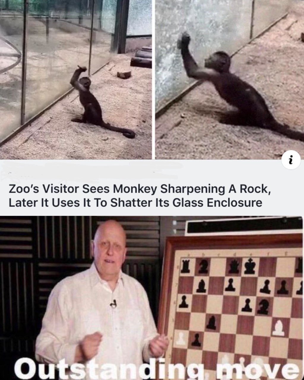 1b8f5d8.jpg