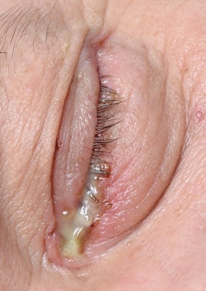 1BDADA39-FA20-4CE3-8CF4-47BB89B46FB9.jpg