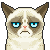 1BFE26A8-DDBE-4284-BABF-182D48402323.png