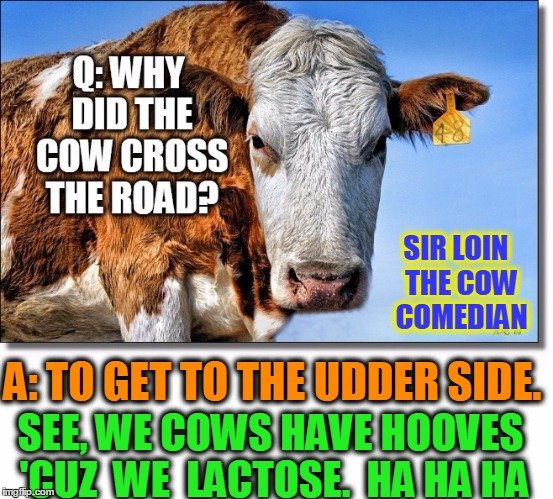 1bn0ep.jpg