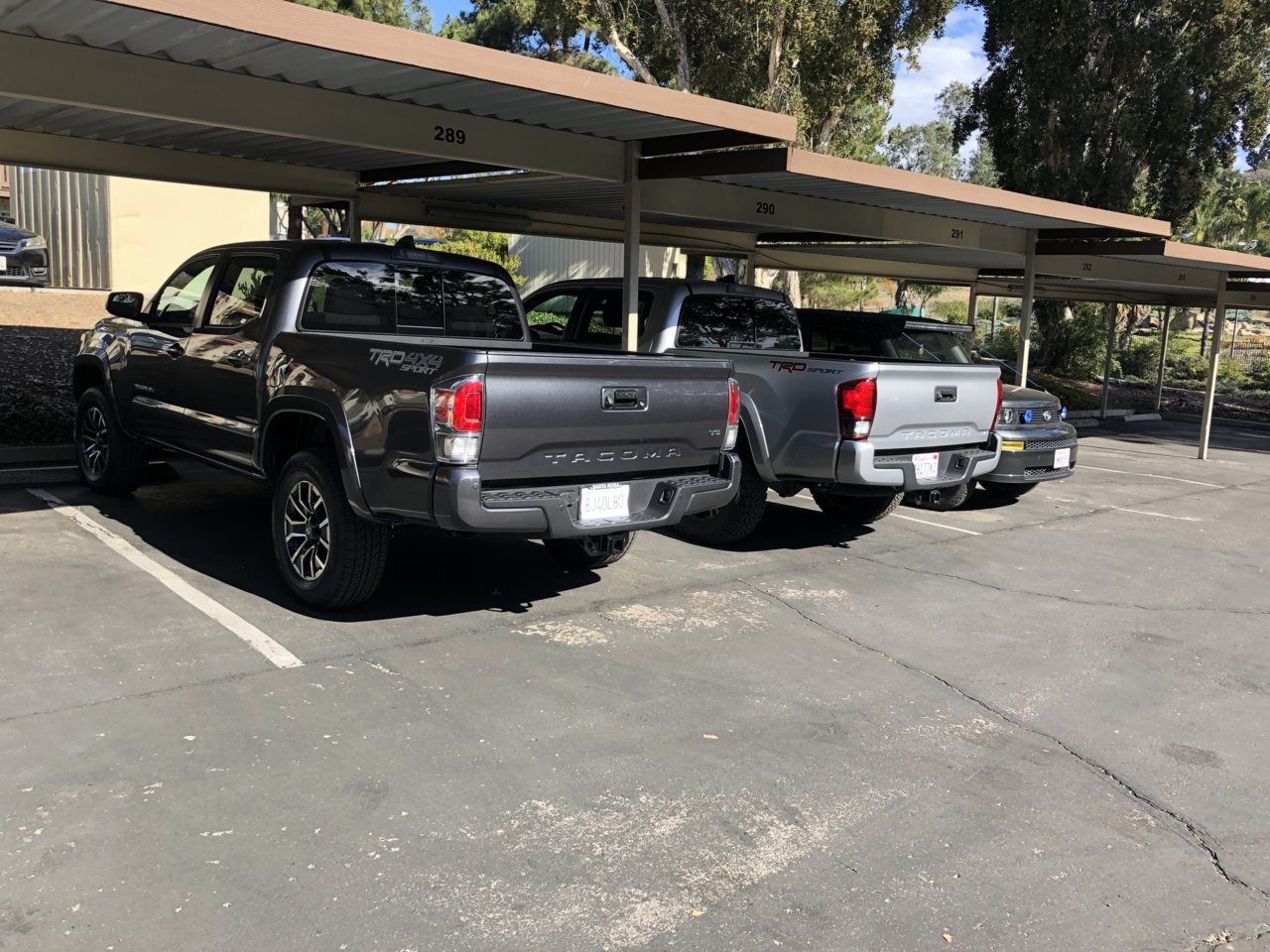 1CAB139D-7F32-414B-B7E5-18A2362DCE20.jpg