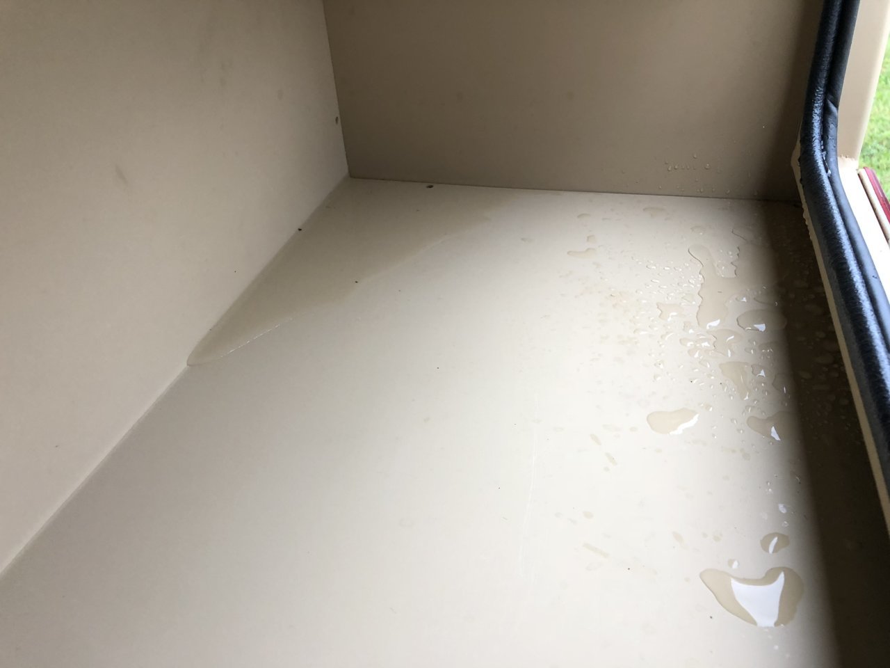 1D26E393-C0A8-4730-86CB-CE7F0AF40818.jpg