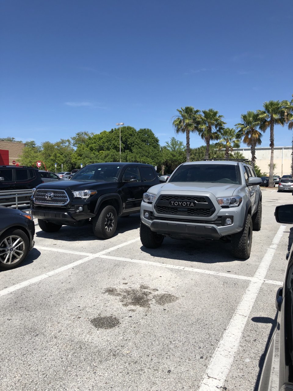 1D2B328E-9EC5-4235-B0CE-A813EFABF5A7.jpg