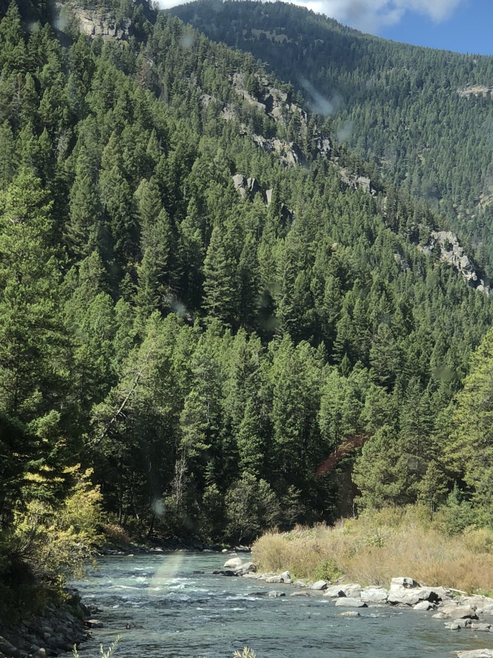 1D71580F-B3E8-45A8-95AE-2D98E3AE9B7A.jpg
