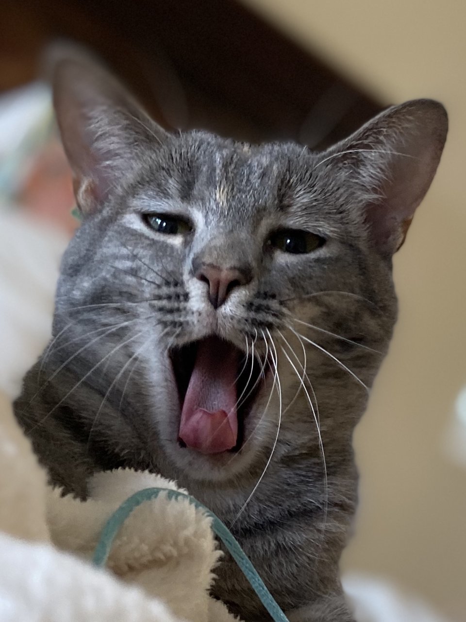 1D78638A-6A70-437C-9D77-5814AFDEEC54.jpg